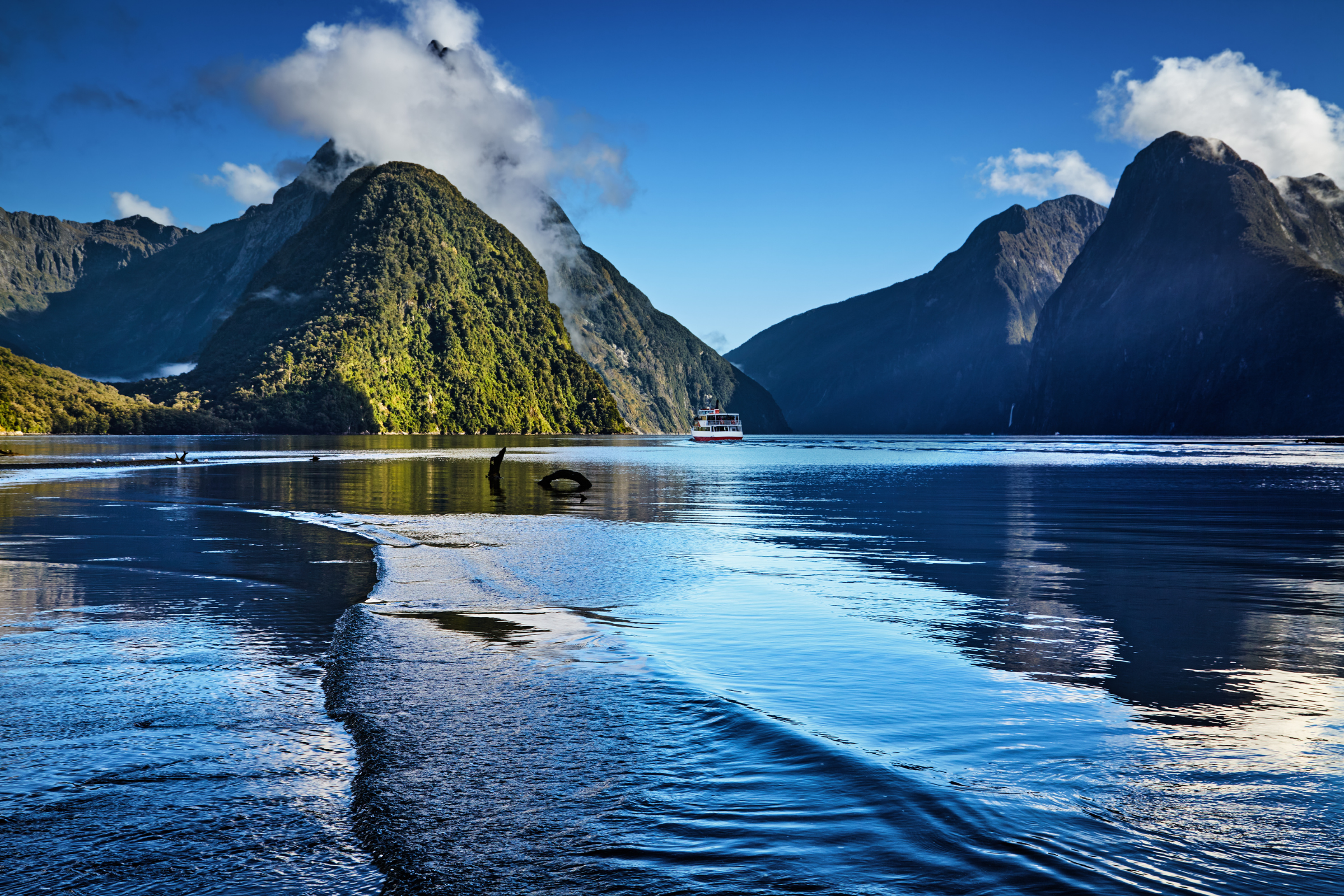 antipodes islands (2).webp